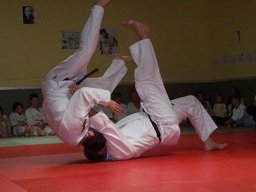 Bilder aus 2010 oder früher